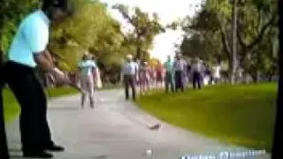 nut shot tiger woods 09