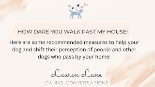 Behaviour modification for dogs who struggle with strangers and people passing the home.