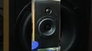 Repair audio, this speaker is really good #repair