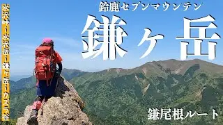 【鈴鹿セブンマウンテン】鎌ヶ岳 鎌尾根コース　水沢峠〜水沢岳〜鎌ヶ岳〜カズラ谷 稜線歩きの醍醐味が味わえるアルペンコース！鋭峰 鎌ヶ岳へ