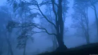 SofiaX & Paul Karma - Silent Night