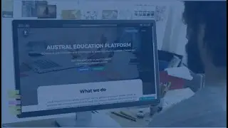 Austral Group Consulting Platform for companies