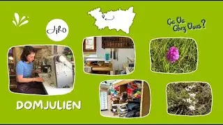 Ca va chez vous ? A Domjulien