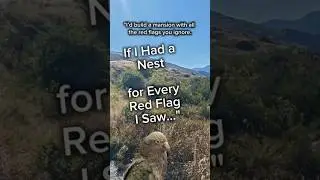 If I Had a Nest for Every Red Flag I Saw