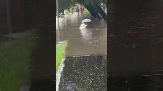 Москвичи возвращаются 😱 Москва Сегодня _Россия #bbcnews #funny #ilonmusk #automobile #new  #clips