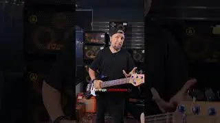 Легендарный Sadowsky - именная модель Will Lee 🎸