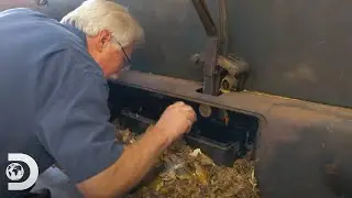 Wayne trabajar&aacute; en uno de los autos m&aacute;s buscados y deseados | Buscando autos cl&aacute;sicos | Discovery