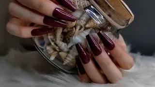 ASMR Tapping Compilation | No Talking