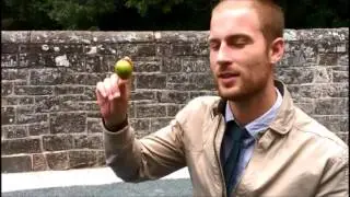 Egton Gooseberry Show