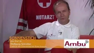 009C Kommentar Sonnenstich