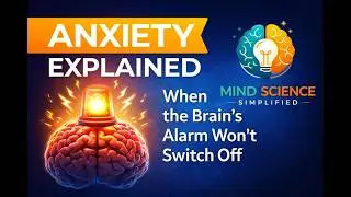 Anxiety Explained: When the Brain&rsquo;s Alarm Won&rsquo;t Switch Off