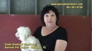 Pet Chamber of Commerce TV - Bayside Pet Resort