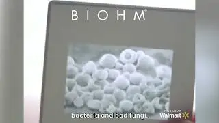 Good Bacteria is Only Half of the Story.