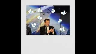 Elon Musk auctions Twitter assets as debt payments loom