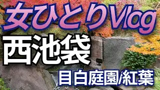 【目白庭園の紅葉/西池袋さんぽ】大人女子ひとりお出かけ  @mikazuki-kaze  #vlog  #目白 #東京 #お出かけスポット #池袋スイーツ #池袋 #公園 #豊島区#紅葉スポット
