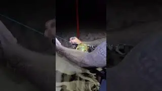 Drone fishing somewhere in perth with the Aeroo Pro 👌❤️❤️ 6ft tiger off the beach 🦈🦈🦈