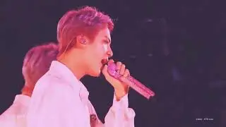 Love Maze - BTS Live Performance