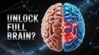 Do We Only Use 10% of Our Brain?
