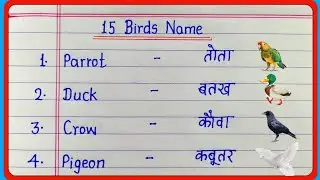 15 birds name in english and hindi | birds name | 15  पक्षियों के नाम | 15 birds name