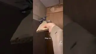 I caught an intruder in my studio 😱