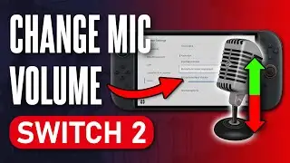 How to Change Microphone Volume on Nintendo Switch 2