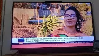 En canal taronja 🍊