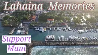 Lahaina Maui | Front Street | Banyan Tree | Down The Hatch | Ululanis | Support
