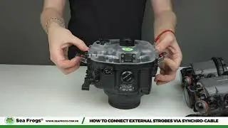 SeaFrogs Waterproof Housing for the Canon EOS R50 camera.