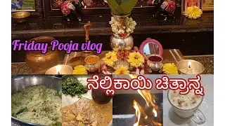 Friday vlog with healthy meal recipe 