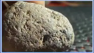Martian meteorite 