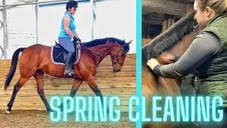 A PRODUCTIVE WEEKEND: Horse Haircuts, Spring Cleaning and Canter Poles // Kaitehh Equestrian
