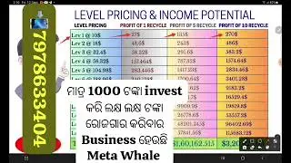 Meta Whale Global Business, Join today 📲7978633404,#viral #shots