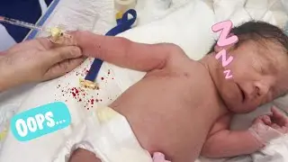 💉 Oops During Newborn IV Insertion? | Real NICU Baby Reaction & Full Recovery Process