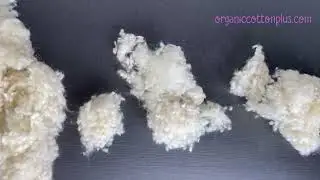 Natural Wool Stuffing