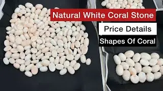 Natural WHITE CORAL PRICE | Shapes of White coral stone with price | सफेद मूंगा | Safed Moonga Price