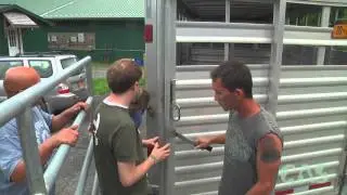 CAS and Farm Sanctuary Sheep Rescue
