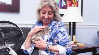 Contemporary Chronicles: Ep 1:  Community Cats