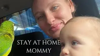 STAY AT HOME MOM -  BLOGGING