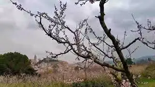 Híjar un pueblo para todos