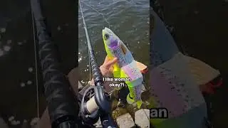 An alle Fliegenfischer da drau&szlig;en😂 Nur ein Witz! #angeln #harzfishing #fishing