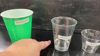 Biomagnification Activity