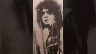 cat black ( the wizards hat) T.rex.