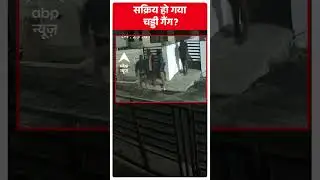 Viral Video: सक्रिय हो गया चड्डी गैंग, CCTV में कैद हुईं तस्वीरें | Viral News