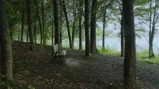 A lonely wooden chair in the light rain, a healing landscape video to help you relax.