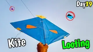 🪁Kite Looting Challenge - Day 39 (It’s Getting Weird)