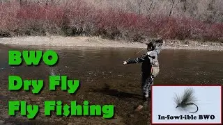 Finding an Excellent Blue Winged Olive Hatch  - New Dry Fly!!!