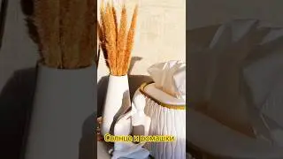 Солнце и ромашки #memes #лето