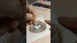 Bird's nest with eggs🐦💞🎨#cutebirds      #birdwatercolor #watercolorart  #artwork #watercolor