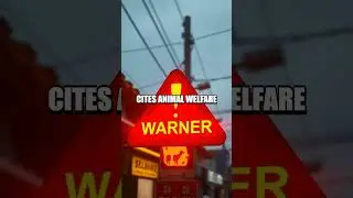 Masked Bans on Global Plates