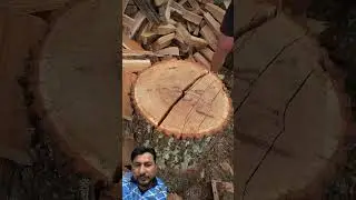 Fiskars x28. Log 60cm #FiskarsX28 #WoodChopping #EfficientAxe #PrecisionCut #durabletools